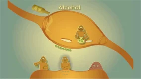 FMS Productions - Alcohol, Drugs and the Brain - Spanish Version