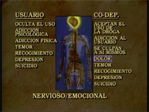 Medical Aspects of Codependency - Spanish Version