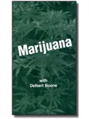 Marijuana with Delbert Boone